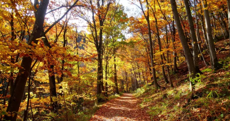 Die Pensionierung planen: Schritt für Schritt